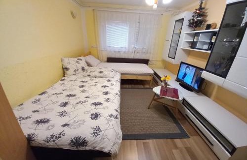 Zrece Apartment | Apartment Jorsi with Mountain View
