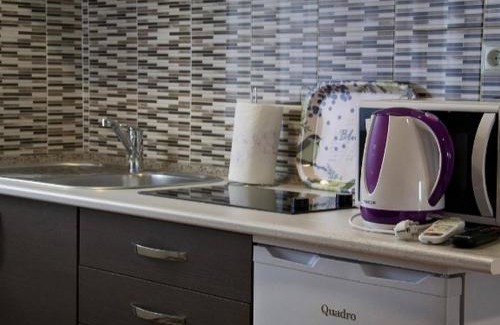 Seliste Dreznicko Apartment | Apartment Josipa- Two-Bedroom Apartment