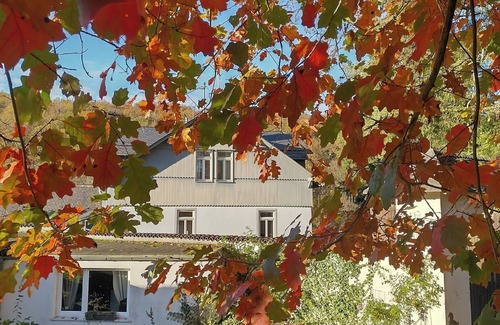 Weilrod Apartment | Apartment 'Junior Suite' with Balcony, Shared Terrace and Wi-Fi