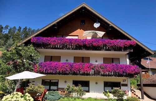 Enzklosterle Apartment | Apartment 'Kaltenbach' with Balcony and Wi-Fi