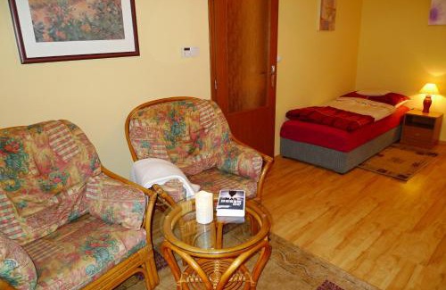 Brno-stred Apartment | Apartment Kamenná