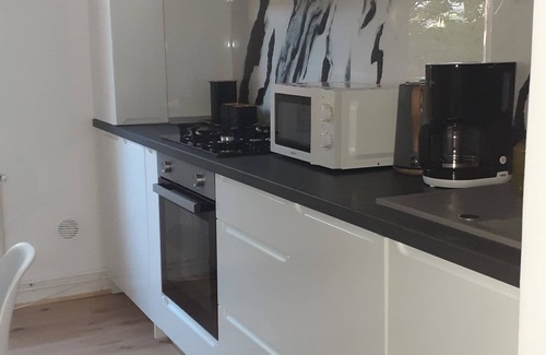 Tirgu Mures House | Apartment Karin