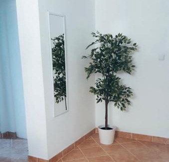 Pag Apartment | Apartment Karlo - city center