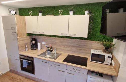 Roding Apartment | Apartment kitchen, WLAN, SMART TV, modern, single bed