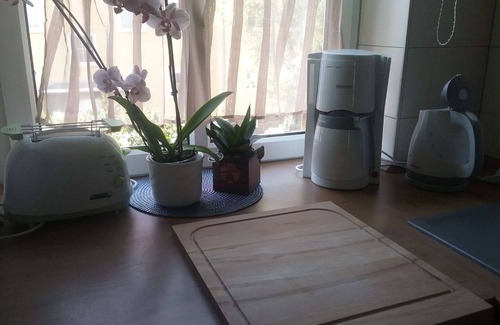 Krampfervorstadt Apartment | Apartment 'Kleine Gemütliche Wohnung In Erfurt' with Wi-Fi
