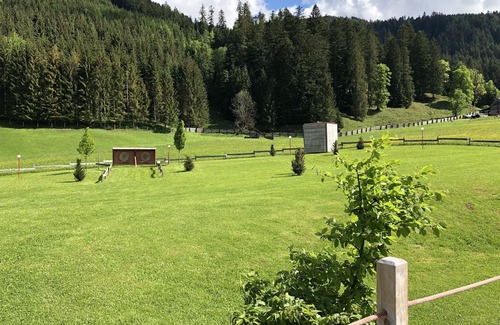 Gosau Apartment | Apartment Kogelblick Gosau (superior aparment with balcony and wellness area)