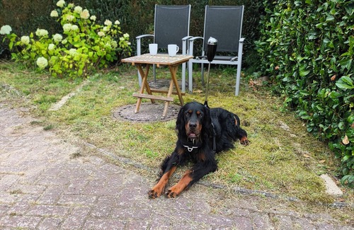 Wahnbek Apartment | Apartment "Krabbe" in Ammerland, near the North Sea in a quiet location.