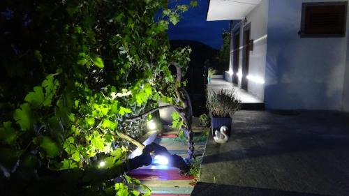 Virpazar Apartment | Apartment Kraljica Jelena
