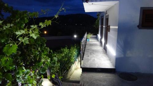 Virpazar Apartment | Apartment Kraljica Jelena