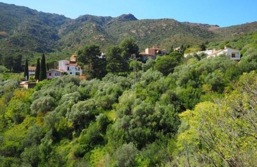 La Vall de Santa Creu Apartment | Apartment La Rectoria