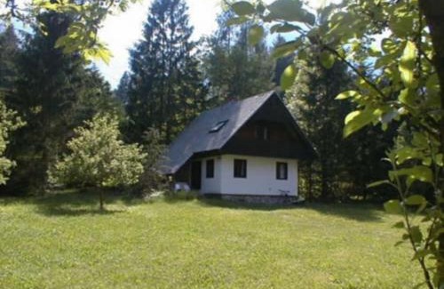 Ukanc Apartment | Apartment Lake Bohinj no. 5