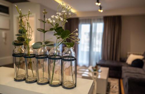 Kraljevo Apartment | Apartment Leona