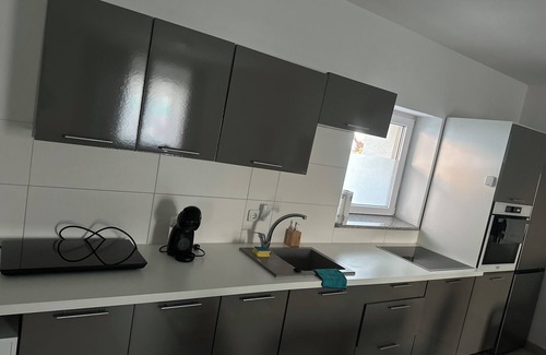 Schwanenstadt Condo | Apartment leonard schwanentatd