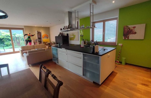 Lustenau Apartment | Apartment 'Loft Mit Kamin Und Whirlpool' with Private Terrace, Private Garden and Wi-Fi