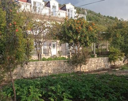 Brsecine Apartment | Apartment Lucija with sea view