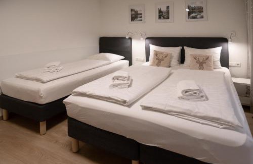 Furth Apartment | Apartment Ludvig Zell am See - Kaprun with spacious terrace