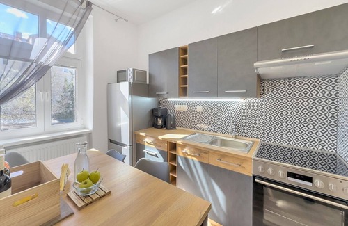 Karlovy Vary Apartment | Apartment LUKAS 1 (up to 4 guests)/city centre - opening April 2023
