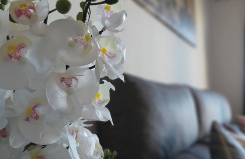 Guadalmar Apartment | Apartment Málaga-Churriana, 3 bedrooms, 6 persons