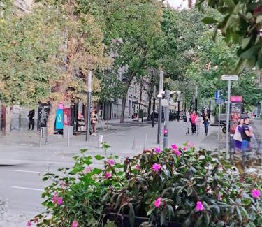 Kosancicev Venac Apartment | Apartment Major2 in the heart of the city Belgrade