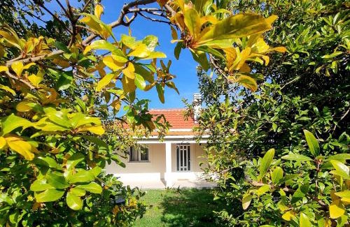 Karuc Apartment | Apartment Matija Airport