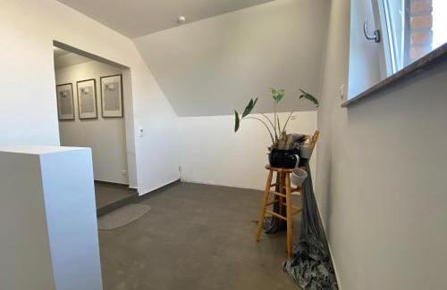 Meine Apartment | Apartment Meine
