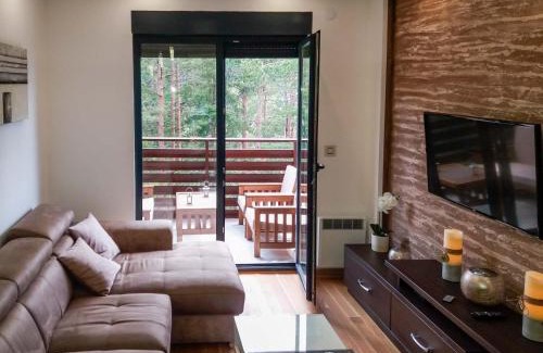 Zlatibor Apartment | Apartment Mihajlović
