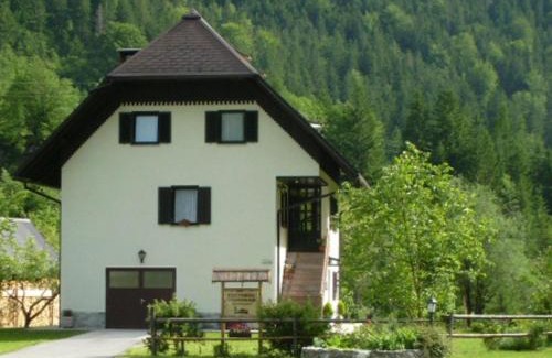 Bovec Apartment | Apartment Milan