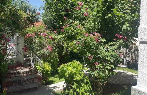 Niska Banja House | Apartment Milinković 2