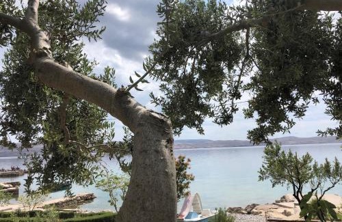 Ribarica Apartment | Apartment Milka by the Sea