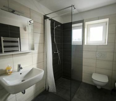 Radovljica Apartment | Apartment Mina