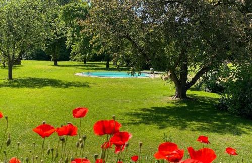 Veckerhagen Apartment | Apartment mit romantischem Garten an der Märchenstraße!