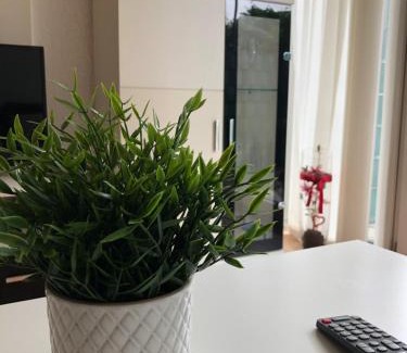 Refrath Apartment | Apartment mit Terrasse Nähe Köln-Deutz