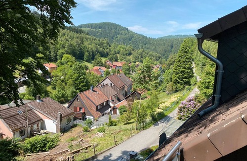 Lautenthal Apartment | Apartment 'Modernes In Traumlage' with Mountain View, Shared Garden and Wi-Fi