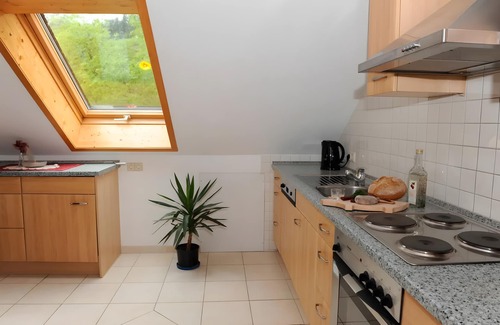 Oppenau Apartment | Apartment 'Moosblick' with Balcony and Wi-Fi