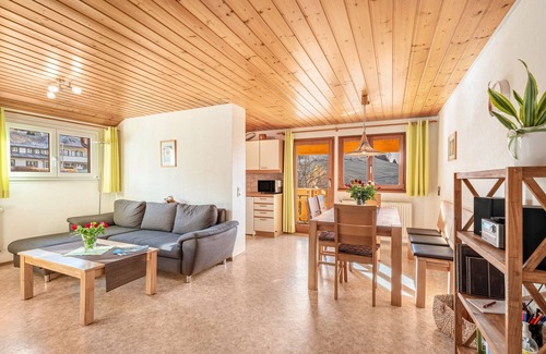 Todtnauberg Apartment | Apartment 'Morgensonne' with Mountain View, Shared Terrace and Wi-Fi