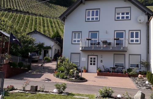 Piesport Apartment | Apartment Moselblick Piesport Ferres is located directly on the banks of the Moselle River