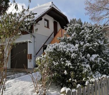 Sankt Georgen am Kreischberg Apartment | Apartment Moser