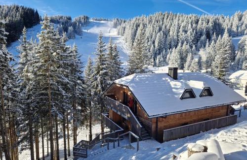 Mozirje Apartment | Apartment MOUNTAIN PEARL Golte