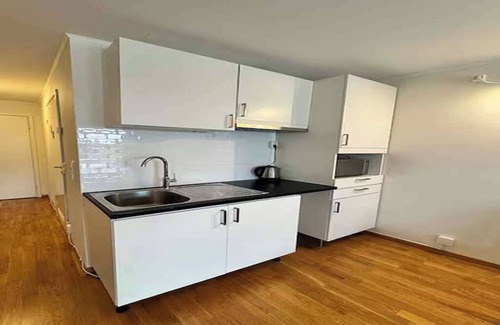 Spikkestad Apartment | Apartment near Oslo, Drammen, and a lake