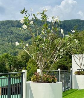 Chalong Apartment | Apartment near the sea Kamala beach 601