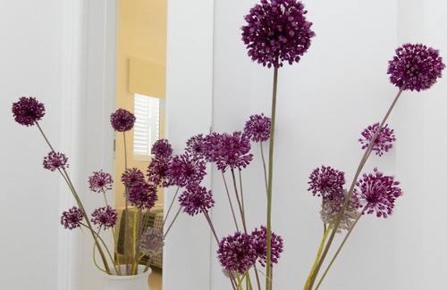 Bicine Apartment | Apartment Nina Skradin