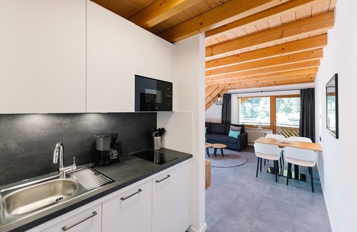 Simonswald Apartment | Apartment no. 23 - Modern vacation apartment, 57sqm, 1 bedroom, 1 living/bedroom, max. 3 persons