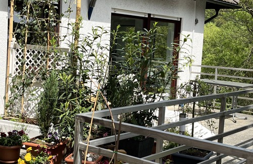 Hirschhorn Apartment | Apartment no.3 climatic health resort, pearl of the Neckar valley