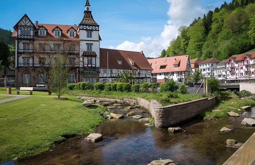 Bad Herrenalb Apartment | Apartment 'Nr 2, 30qm' with Private Terrace, Shared Garden and Wi-Fi
