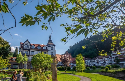 Bad Herrenalb Apartment | Apartment 'Nr 2, 30qm' with Private Terrace, Shared Garden and Wi-Fi