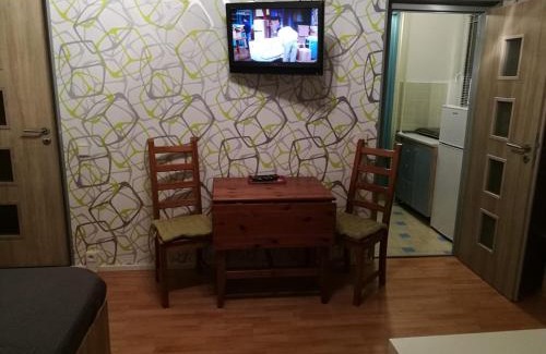 Brno-stred Apartment | Apartment Oltec