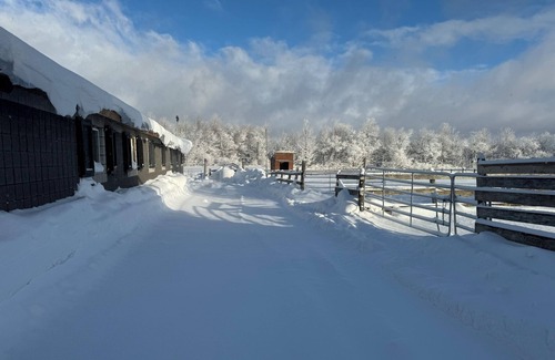 Grey Highlands Apartment | Apartment on Horse ranch