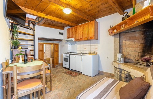 Pican Apartment | Apartment Petina with terrace