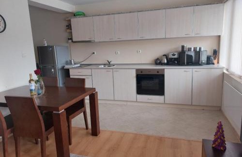 Shiligarnika Apartment | Apartment Pirin