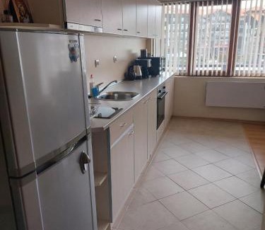Shiligarnika Apartment | Apartment Pirin